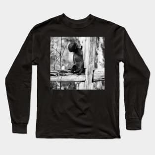 Searching for seeds. Long Sleeve T-Shirt